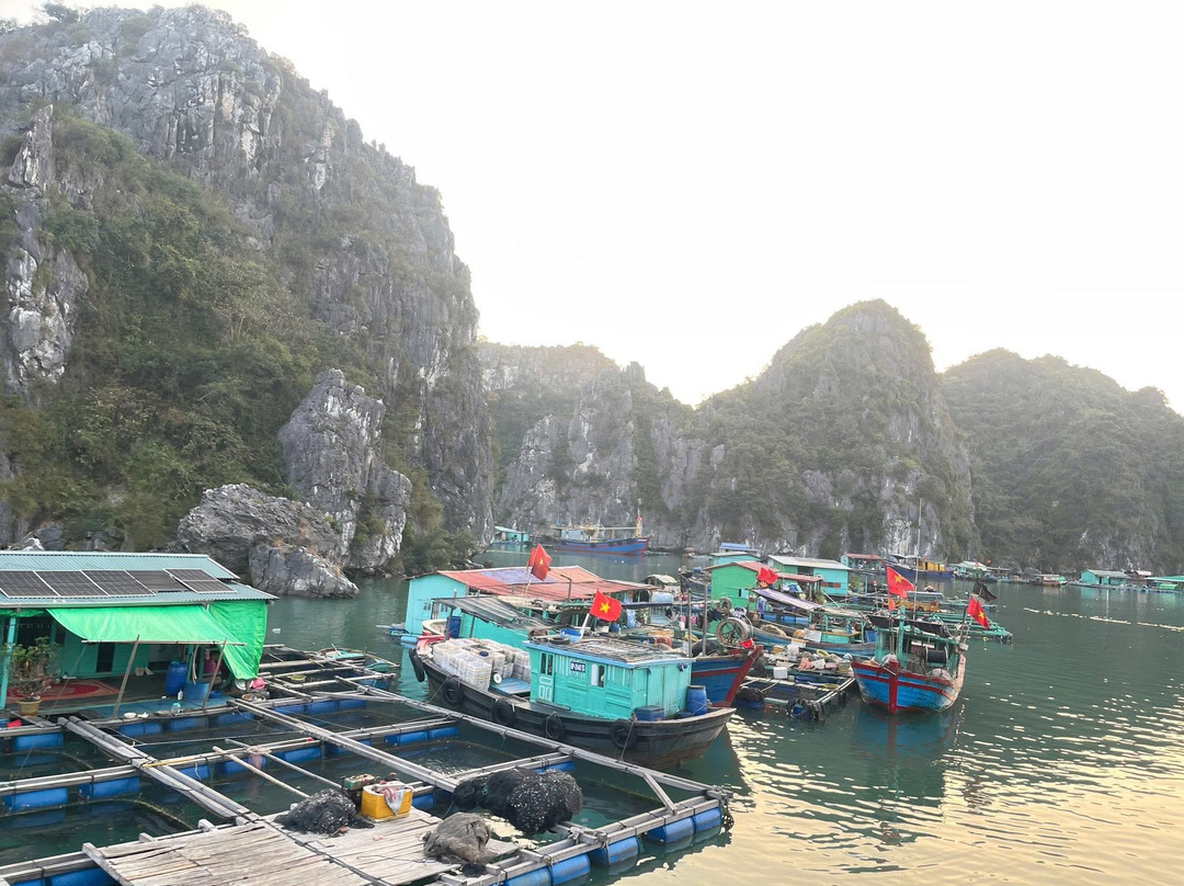 Bai Tho Mountain-下龙湾必去景点