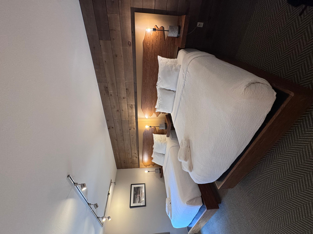 坎莫尔的 Basecamp Lodge主图