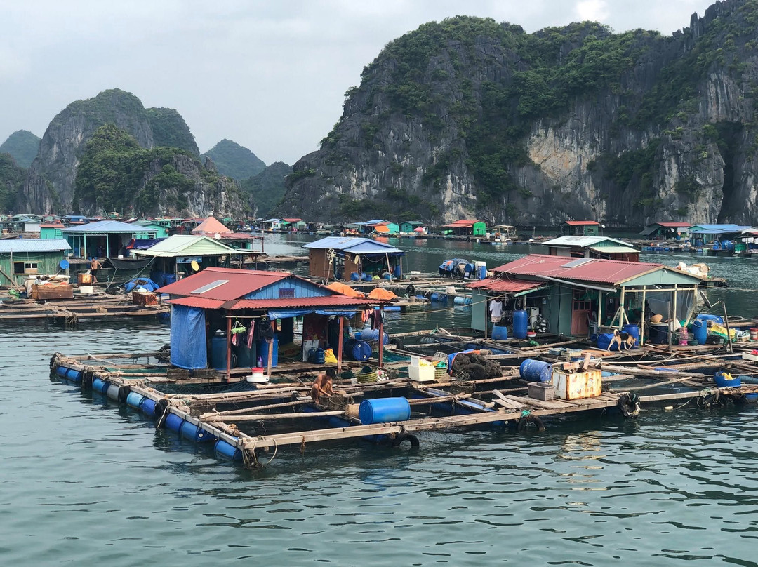 Ti Top Island-下龙湾必去景点