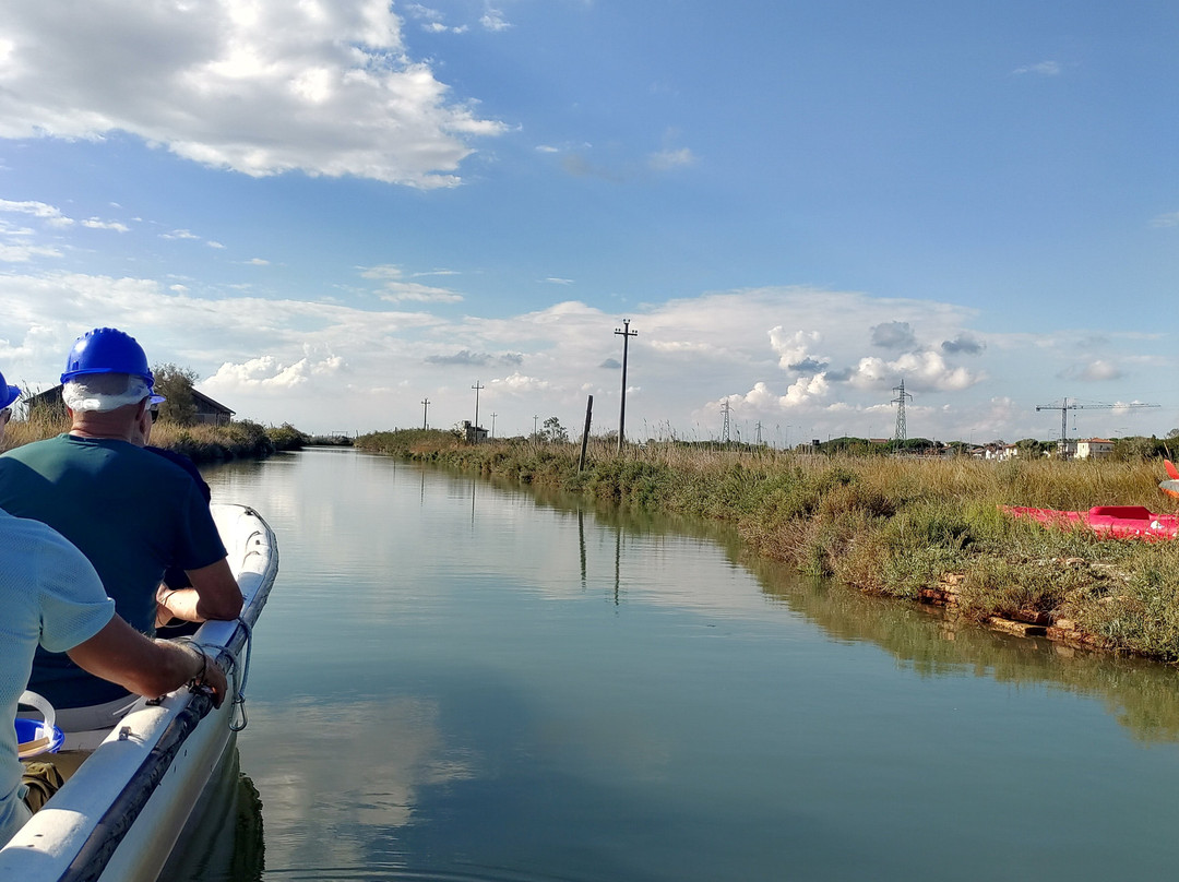 Parco della Salina di Cervia-切尔维亚必去景点