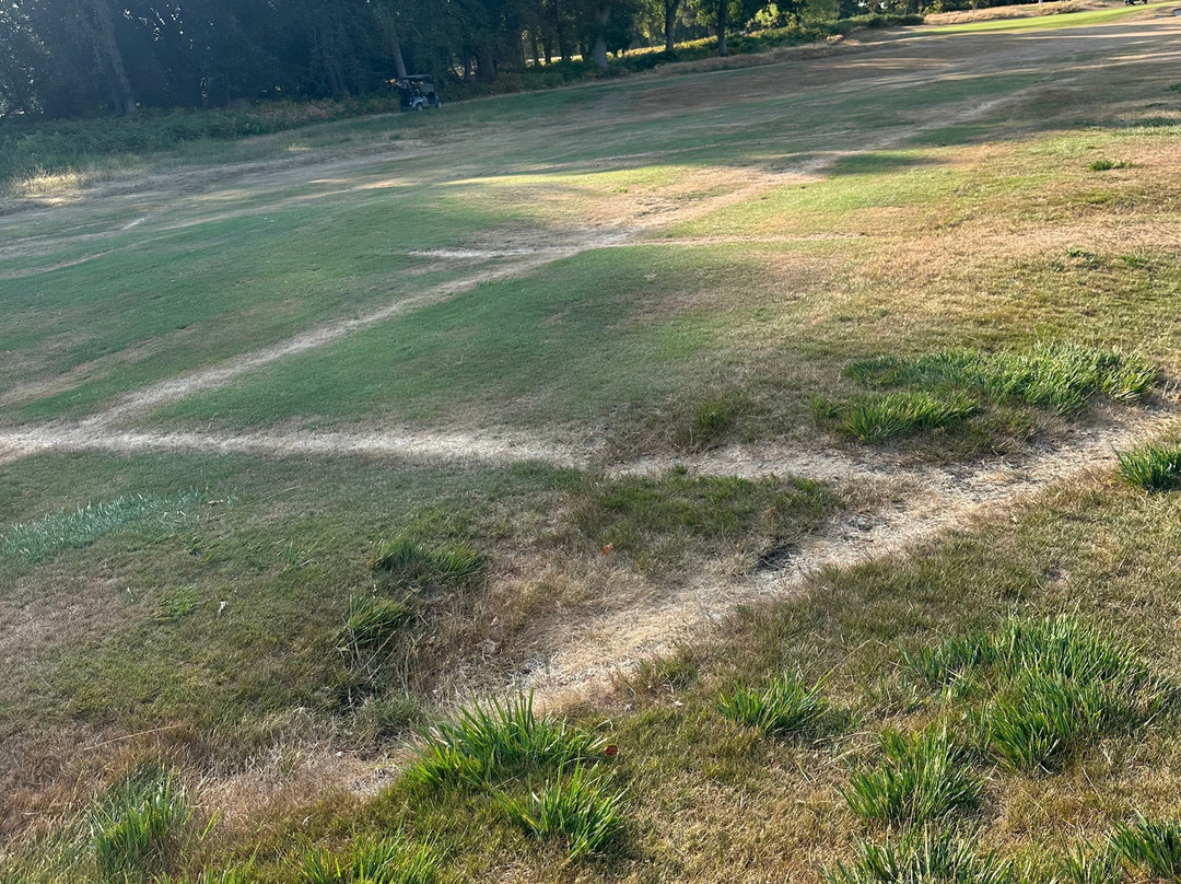 Brokenhurst Manor Golf Club-Brockenhurst必去景点