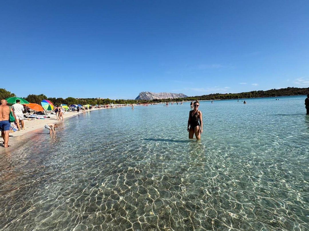 Cala Brandinchi-Capo Coda Cavallo必去景点