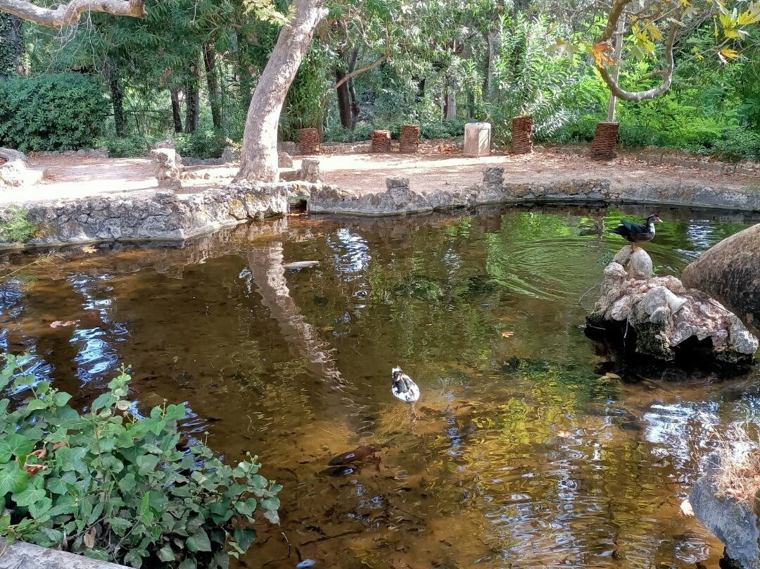 Rodini Park-罗德斯必去景点