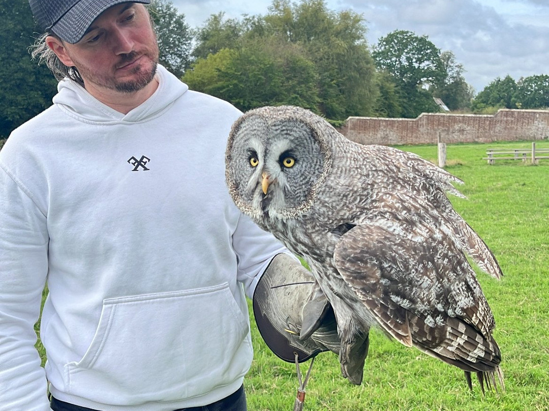UK Owl And Raptor Centre-Groombridge必去景点