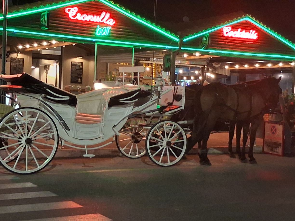 克罗纳拉公寓式酒店-旅行者