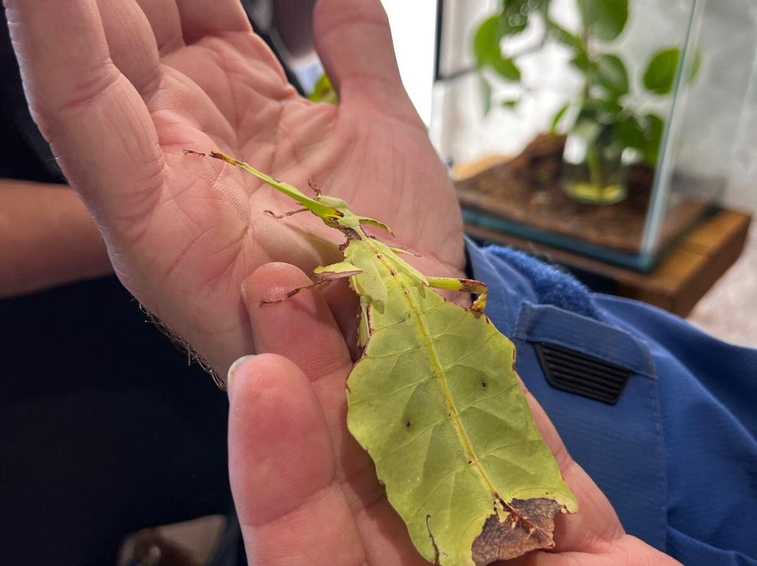 Dr Beynon's Bug Farm-St. Davids必去景点