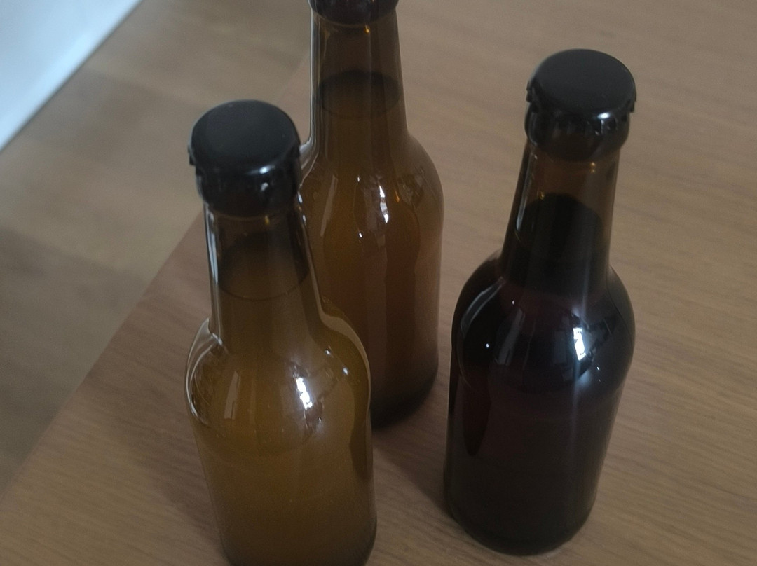 12-70 Cerveza Artesanal-Villaseca de Laciana必去景点