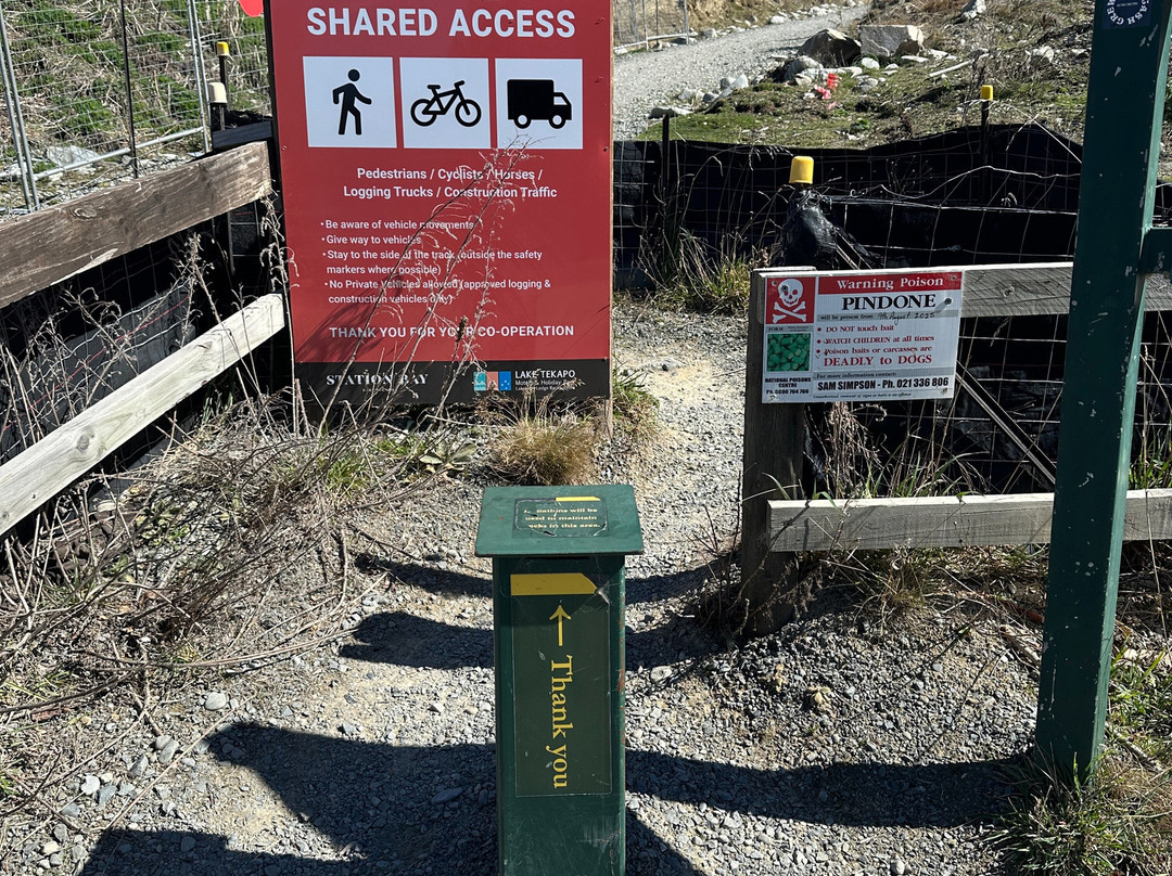 Mount John Summit Circuit Track-特卡波湖必去景点