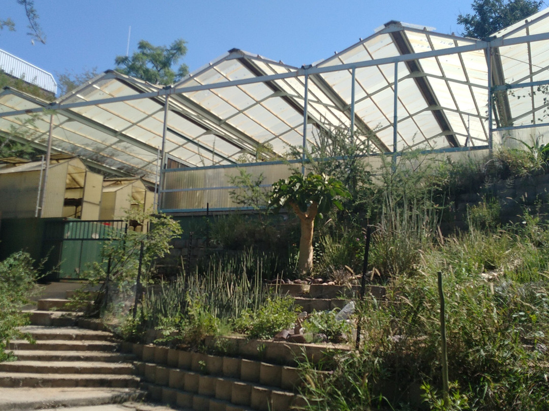 National Botanic Garden of Namibia-温德和克必去景点