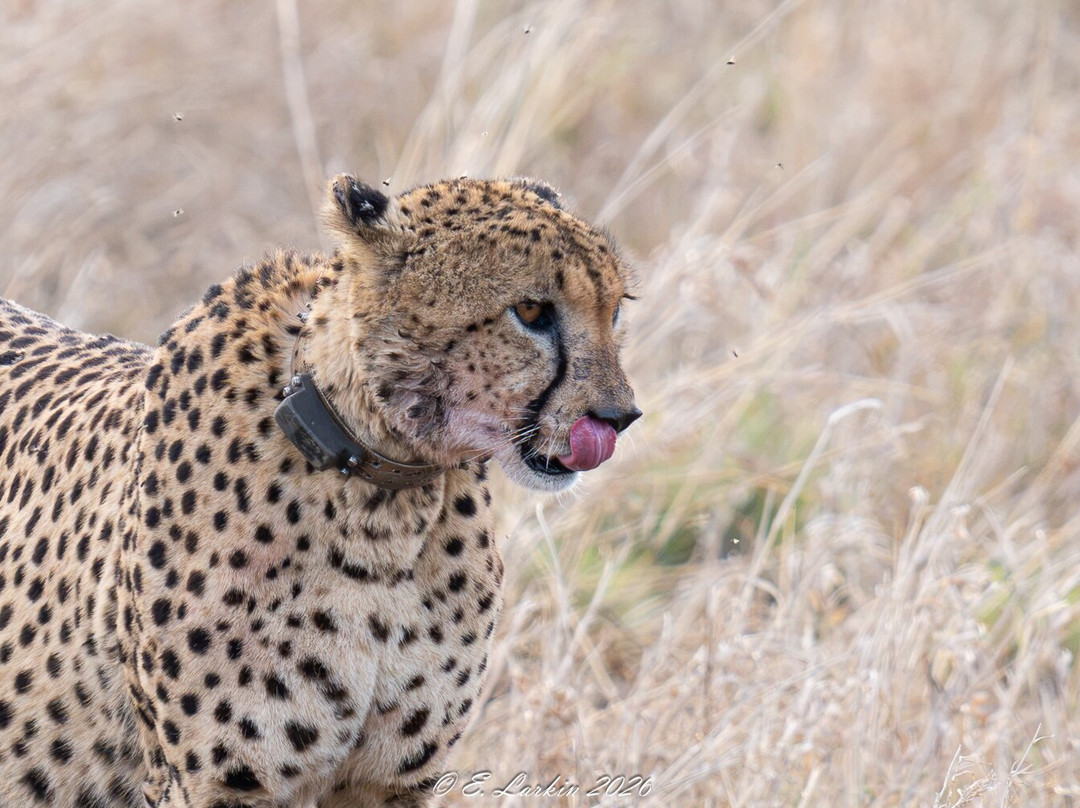 Safaria-白河必去景点