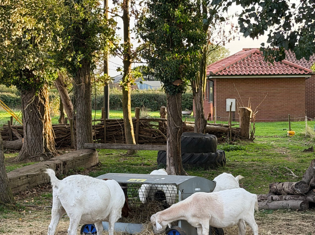 Dumble Farm Conservation-比弗利必去景点