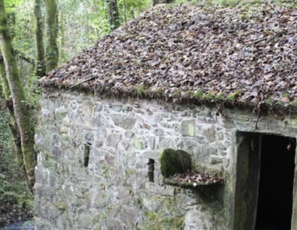 MUÍÑO DE MATELO 2