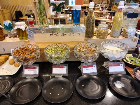 阿加尔塔拉生薑酒店-旅行者