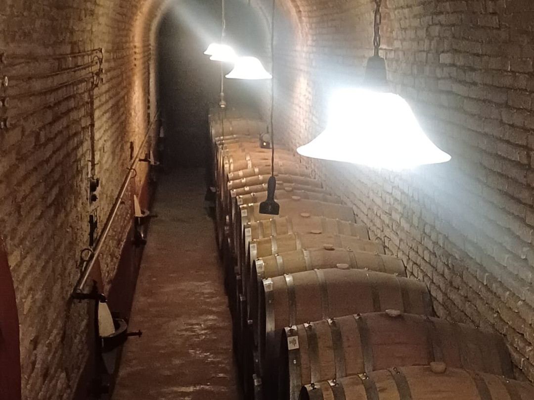 La Abeja Winery-圣拉斐尔必去景点