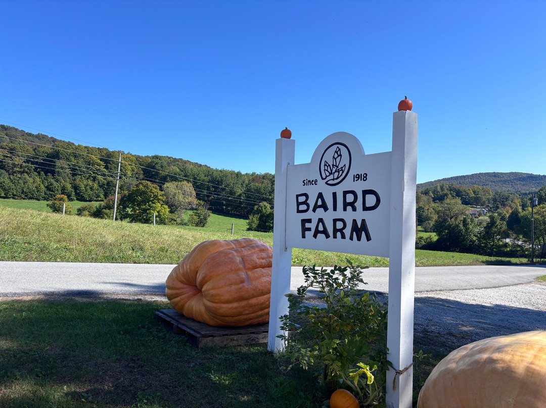 Baird Farm Vermont Maple Syrup-奇滕登必去景点