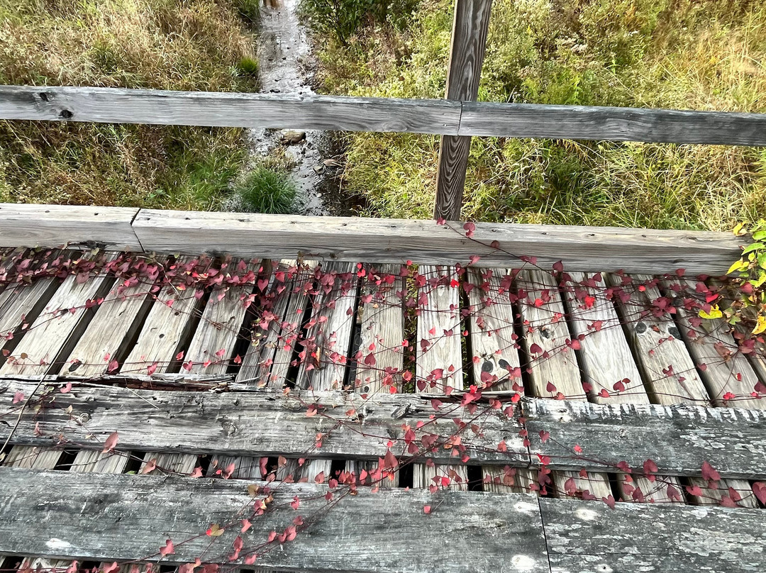 疯狂河旅馆主图
