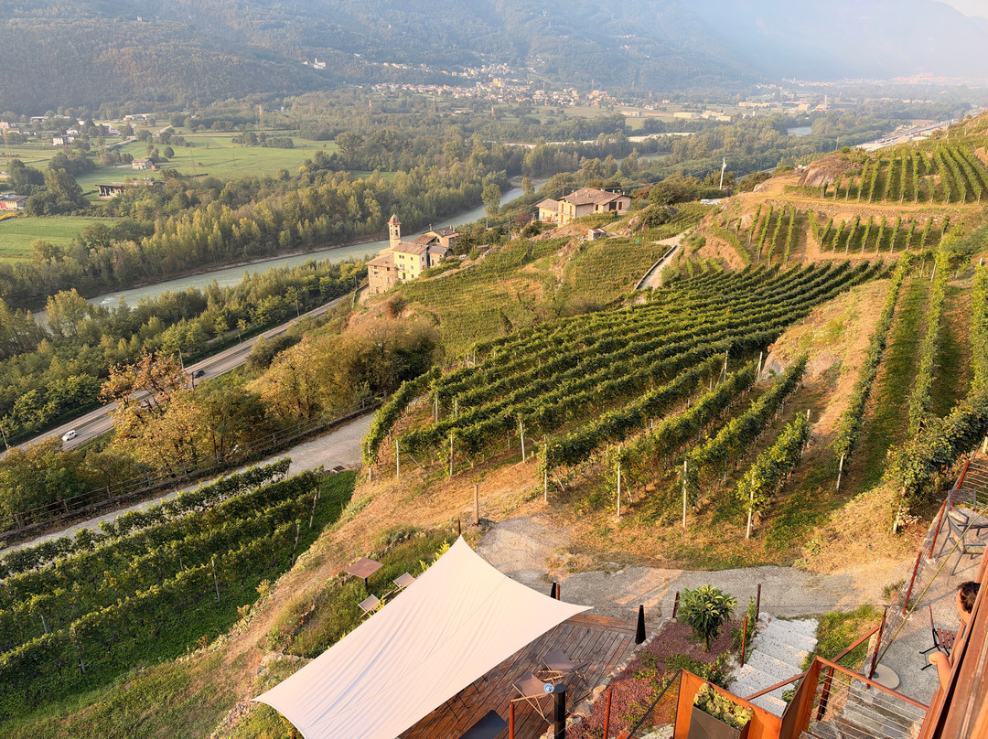 Ca' Barroni - Luxury Agriresort