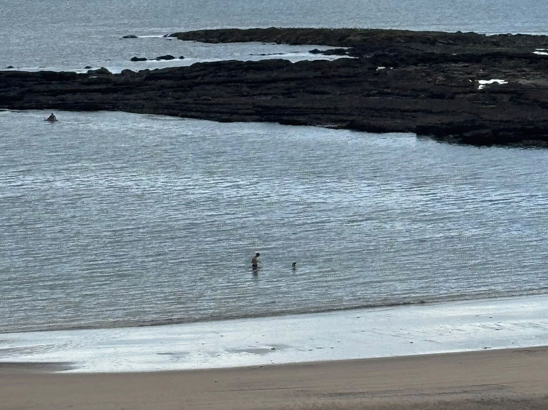 Cullercoats Beach-Cullercoats必去景点