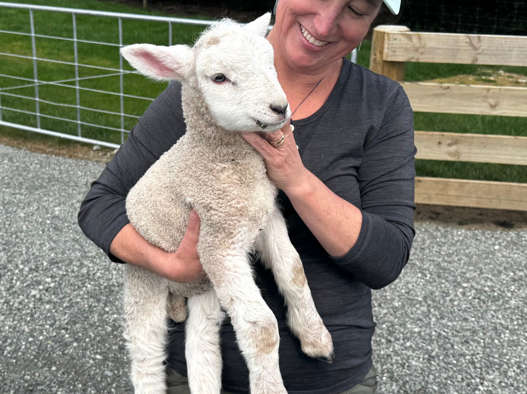 Woodstone Farm, Te Anau, New Zealand-蒂阿瑙必去景点