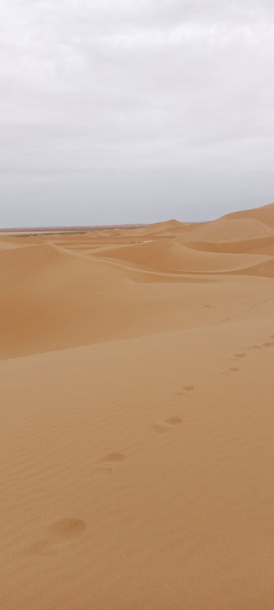 Dar M'Hamid-旅行者