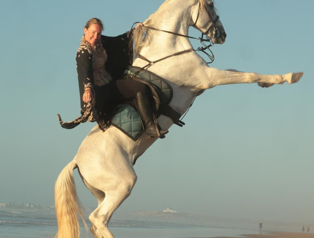 Cheval Essaouira-索维拉必去景点