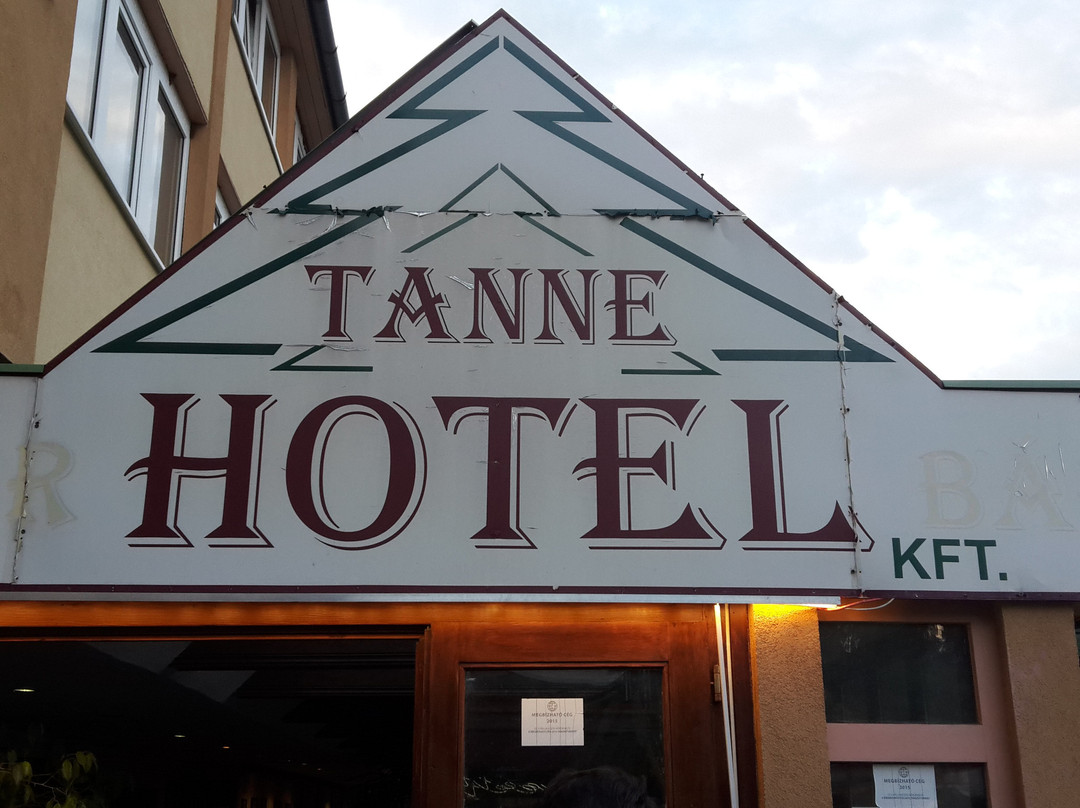 Hotel Tanne