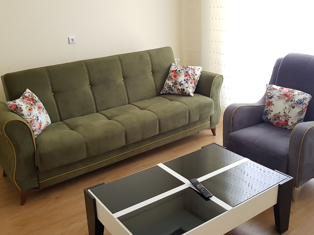 Luxury Home Aydin Gunluk Ev