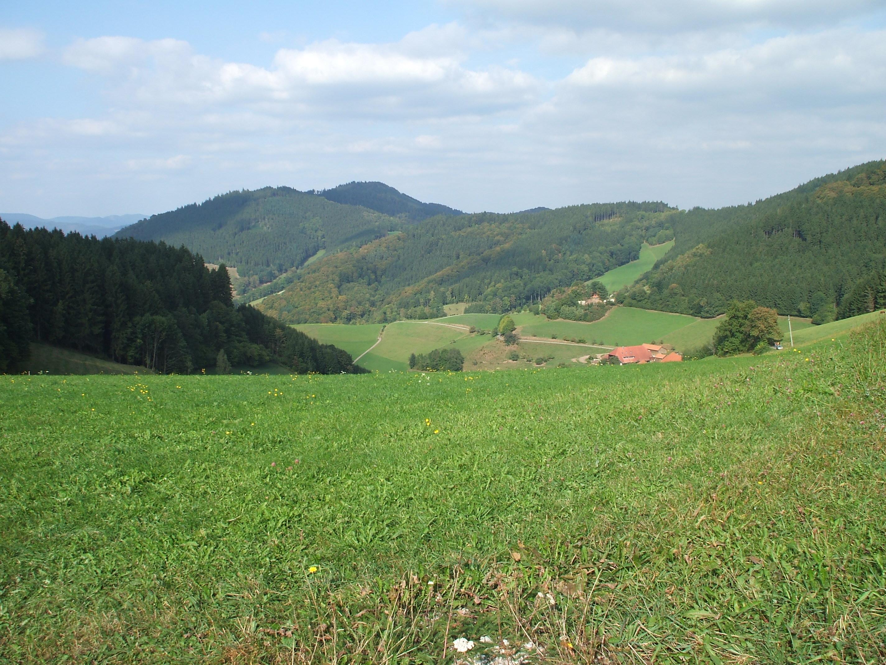 Baren Country Hotel-客卧