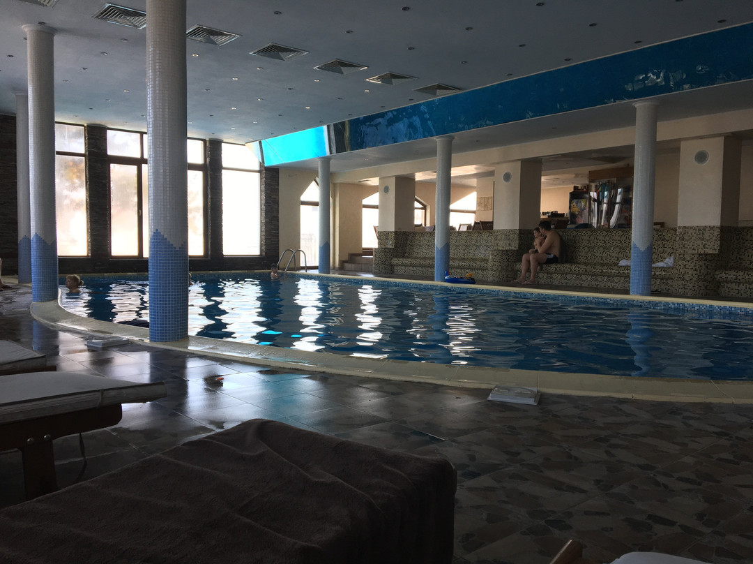 韦林格勒酒店住宿-Bor Spa-Club