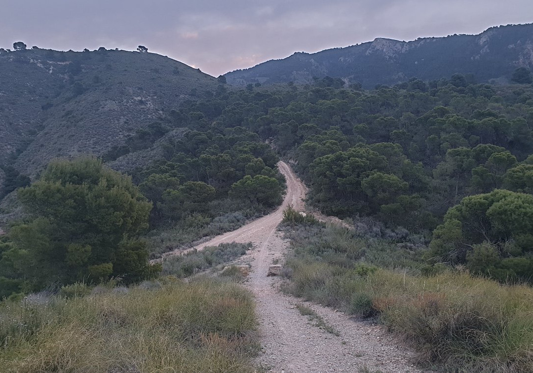 Mirador Cabezo de la Caracola景点图片