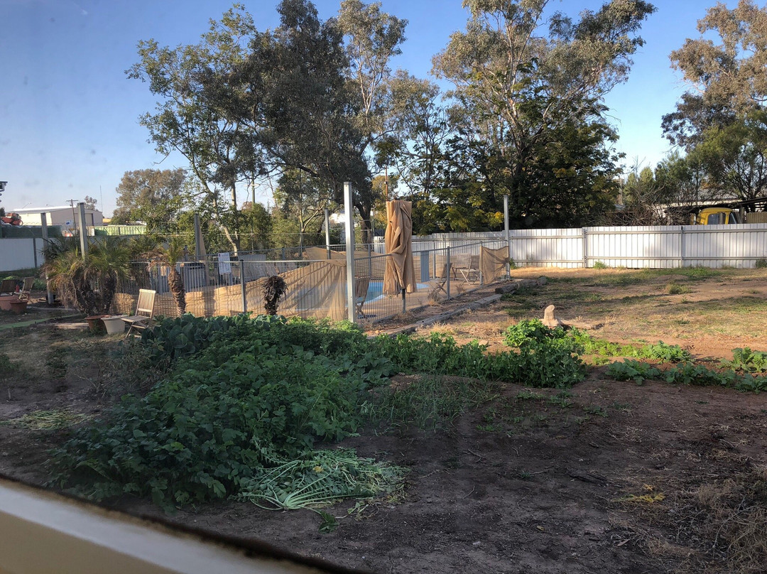 Cumborah酒店住宿-Coolabah Motel