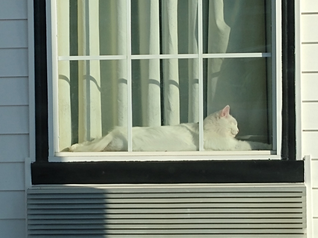 Fitzgerald酒店住宿-Western Motel