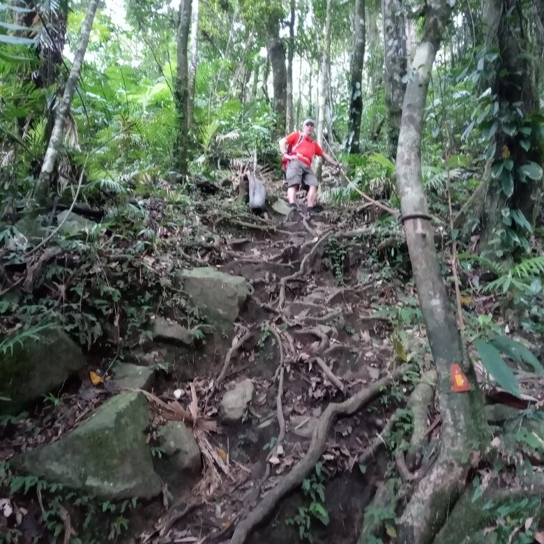 Mount Sorrow-Cape Tribulation必去景点