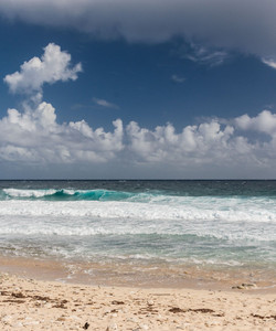 California Sand Dunes景点门票图片