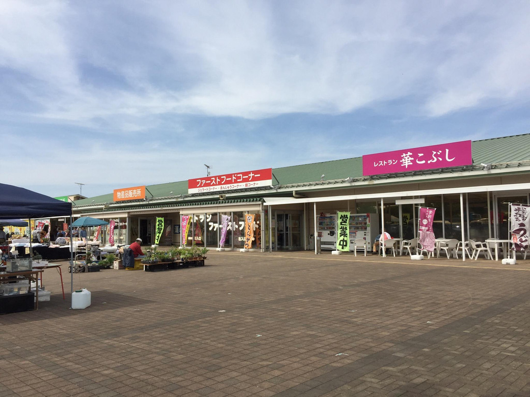 Michi-no-Eki Goka景点图片