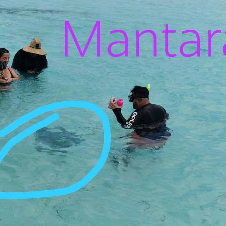Cozumel - Monkey Adventures México-考祖梅必去景点