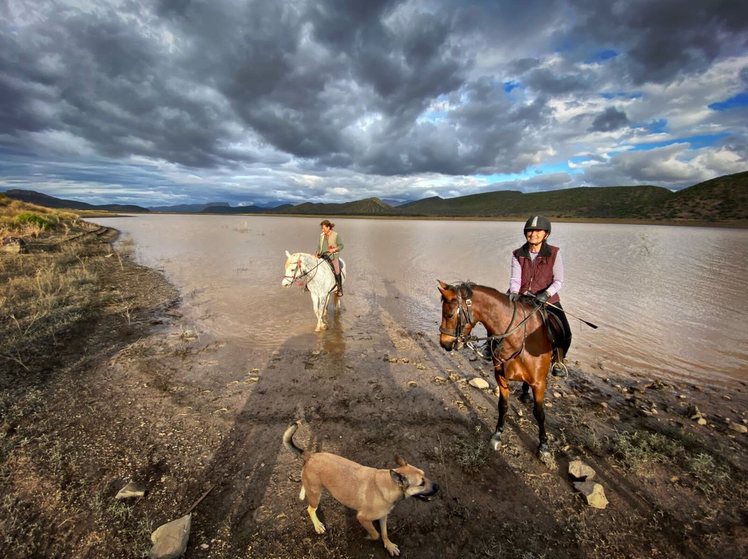 De Rust Horseriding - Klein Karoo Horse Adventures