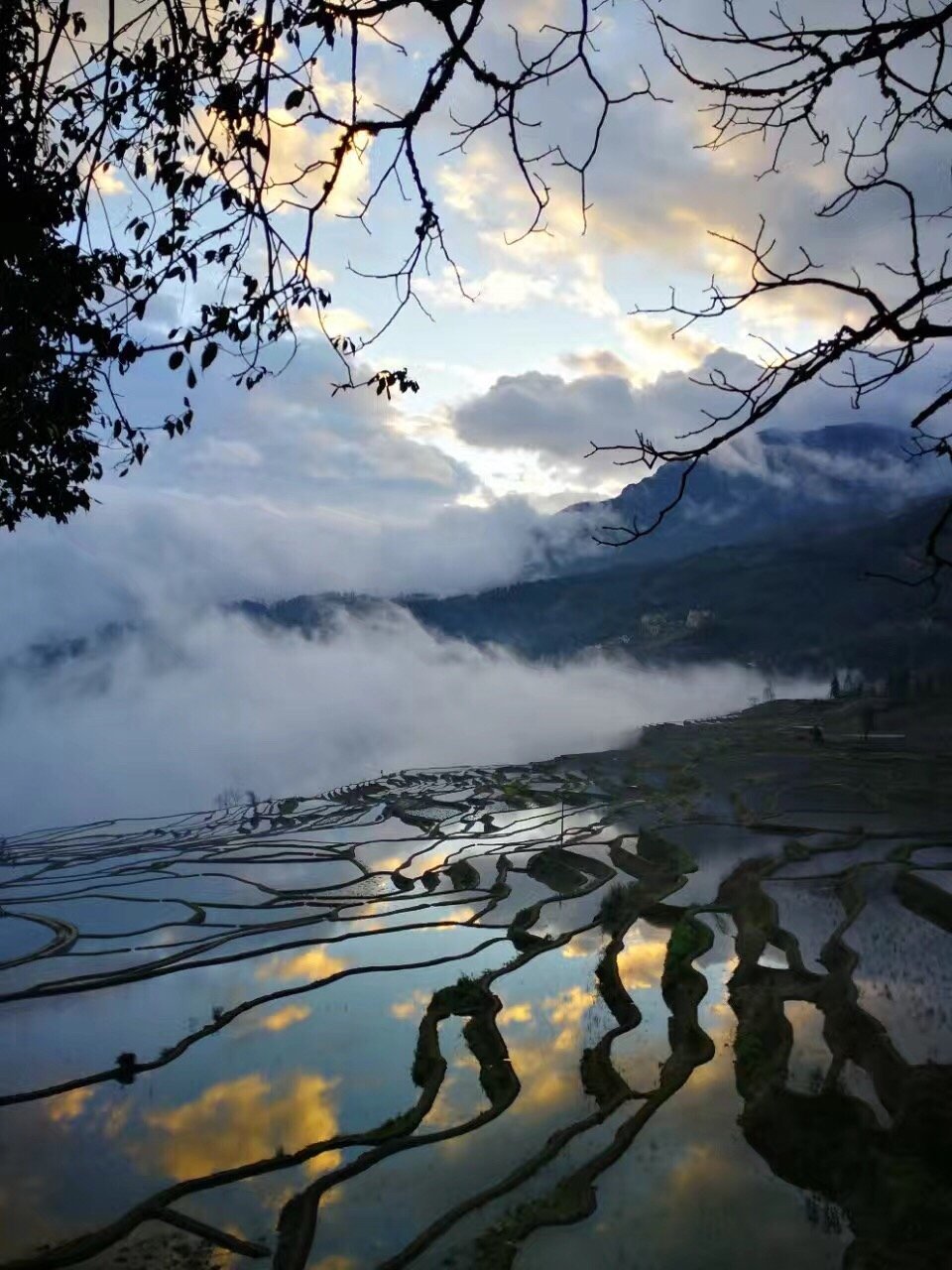 红旗客栈-官方