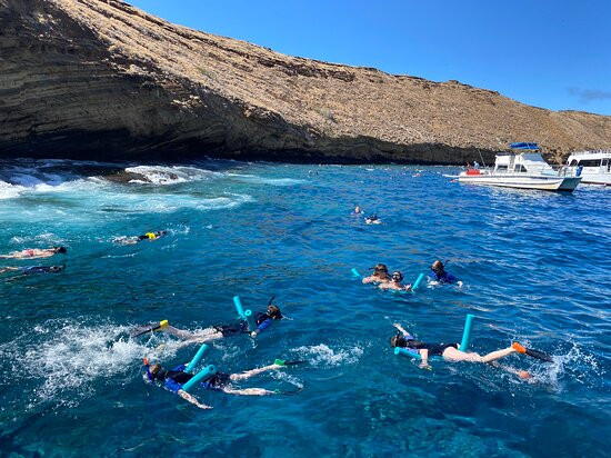 Maui Boat Trips-玛阿拉也亚必去景点