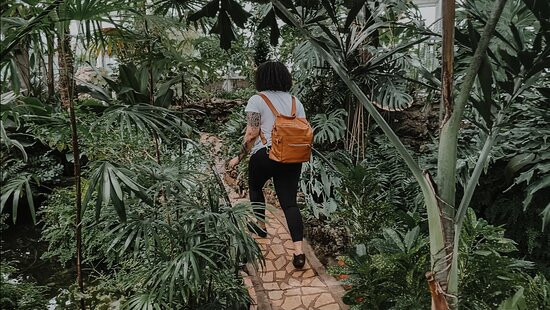 Oak Park Conservatory-奥克帕克必去景点