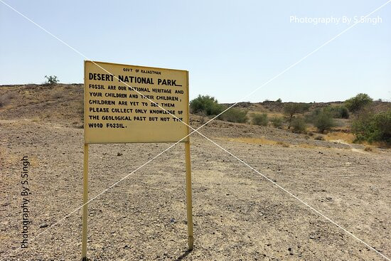 Akal Wood Fossil Park景点图片