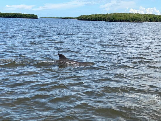 PT Airboat Adventures-Homosassa必去景点
