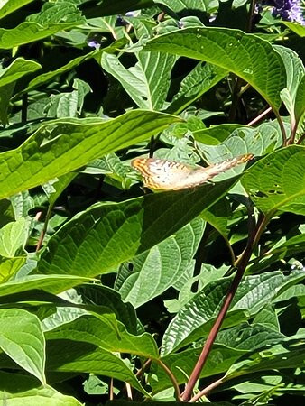 Albuquerque Biological Park-阿尔伯克基必去景点
