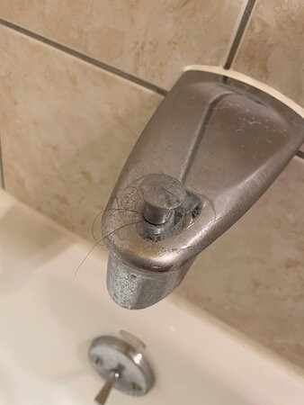 Best Western Plus Country Park Hotel主图