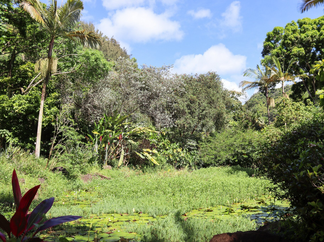 Waimea Botanical Gardens, Oahu景点图片