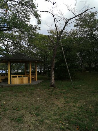 Sakaidaiba Park-境港市必去景点