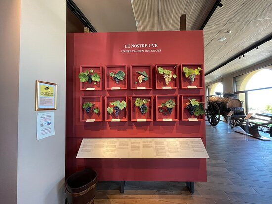 Cantina Zeni e Museo del Vino景点图片