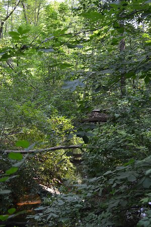 Stannard Quarry-Kirtland必去景点