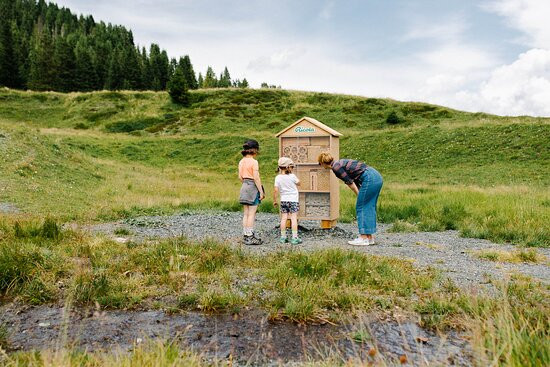 Ricola Erlebnisweg Arosa-阿罗萨必去景点