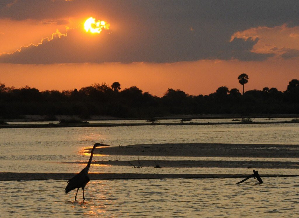Mikumi Car Rental Safaris-Dar es Salaam必去景点